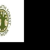 Two county forests to receive 'Old-Growth' designations - Vimarsana News