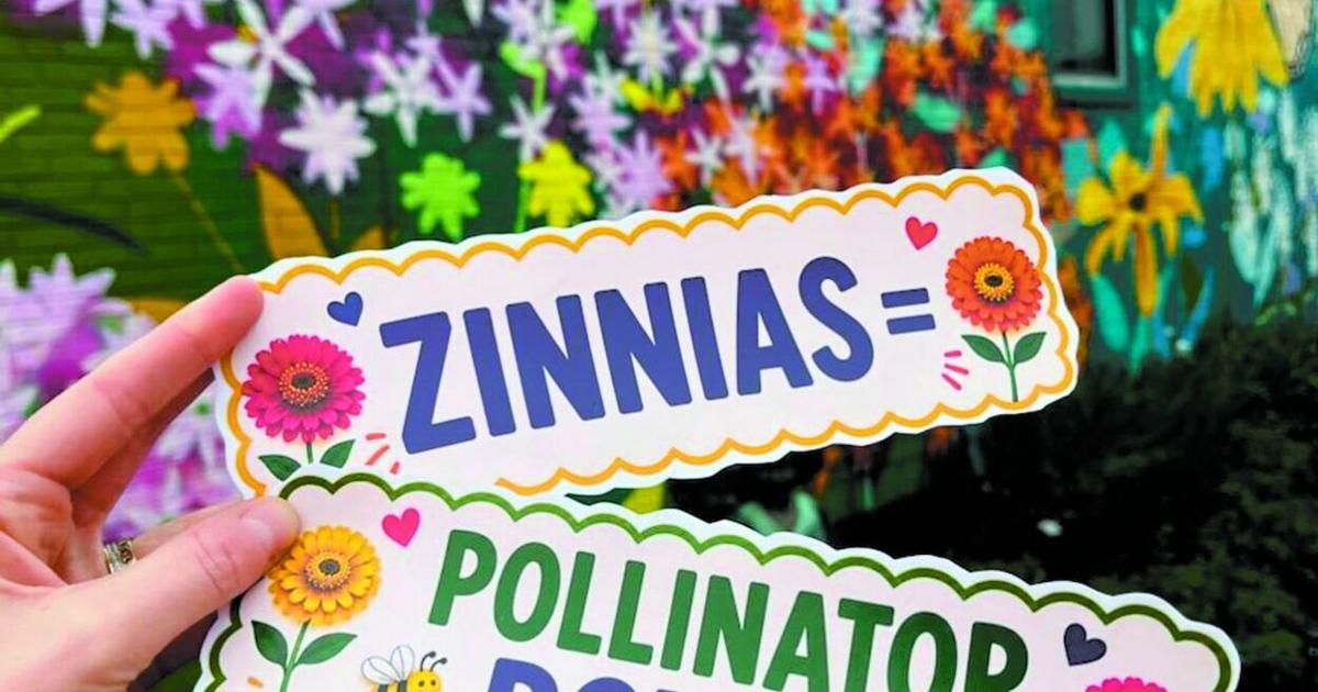 Pollinators Vip Williamsville Beautification Committee to offer 'Petals for Pollinators ...