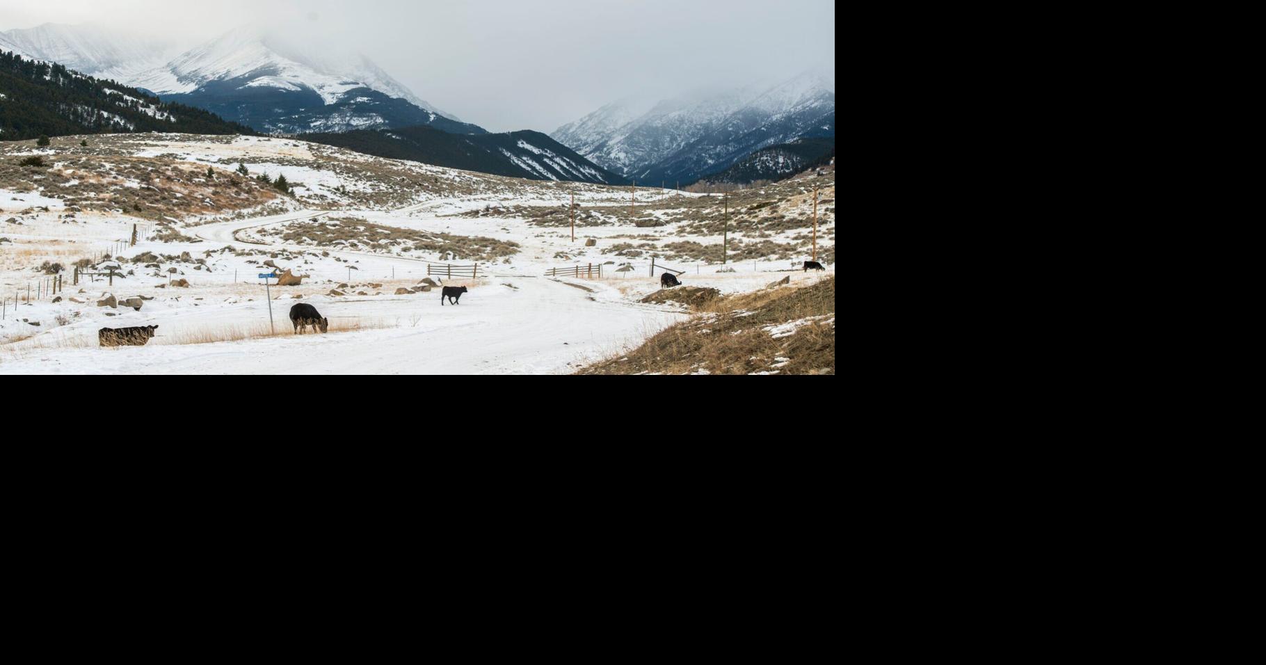 Conservation groups support virtual fencing project for eastern Crazies ...