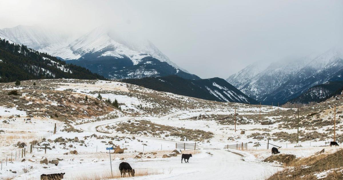 5370 Ranch Conservation groups support virtual fencing project for eastern Crazies ...
