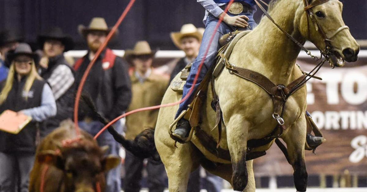 Msvu Rodeo MSU holds Spring Rodeo April 8-11 | County | belgrade-news.com