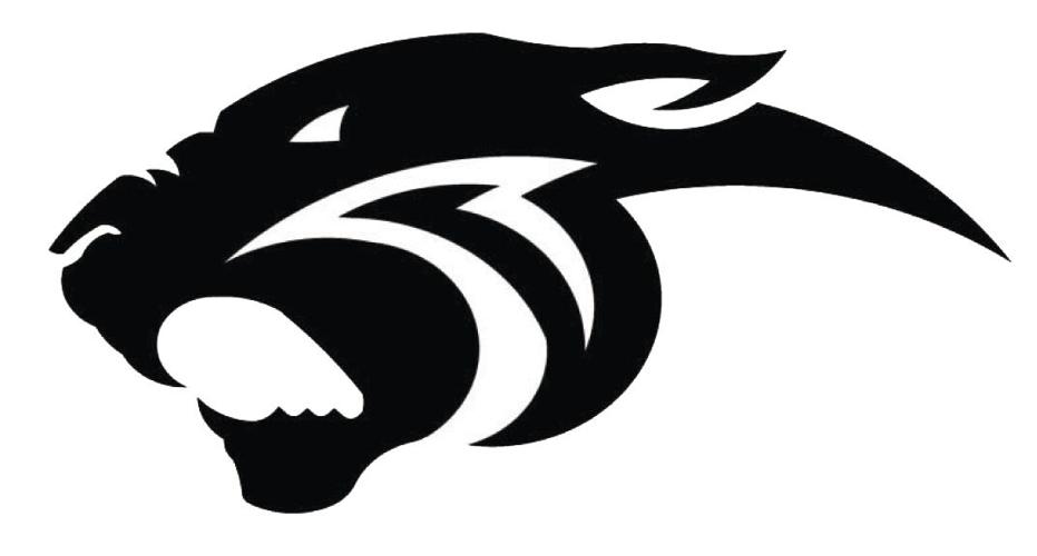 Belgrade Panthers