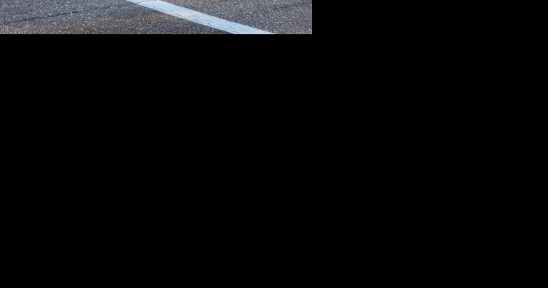 Florida on brand: Alligator strolls through Publix parking lot in Pinellas Park - Vimarsana News