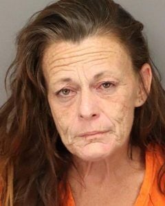 Florida woman arrested after wild police chase, chitterlings heist from ...