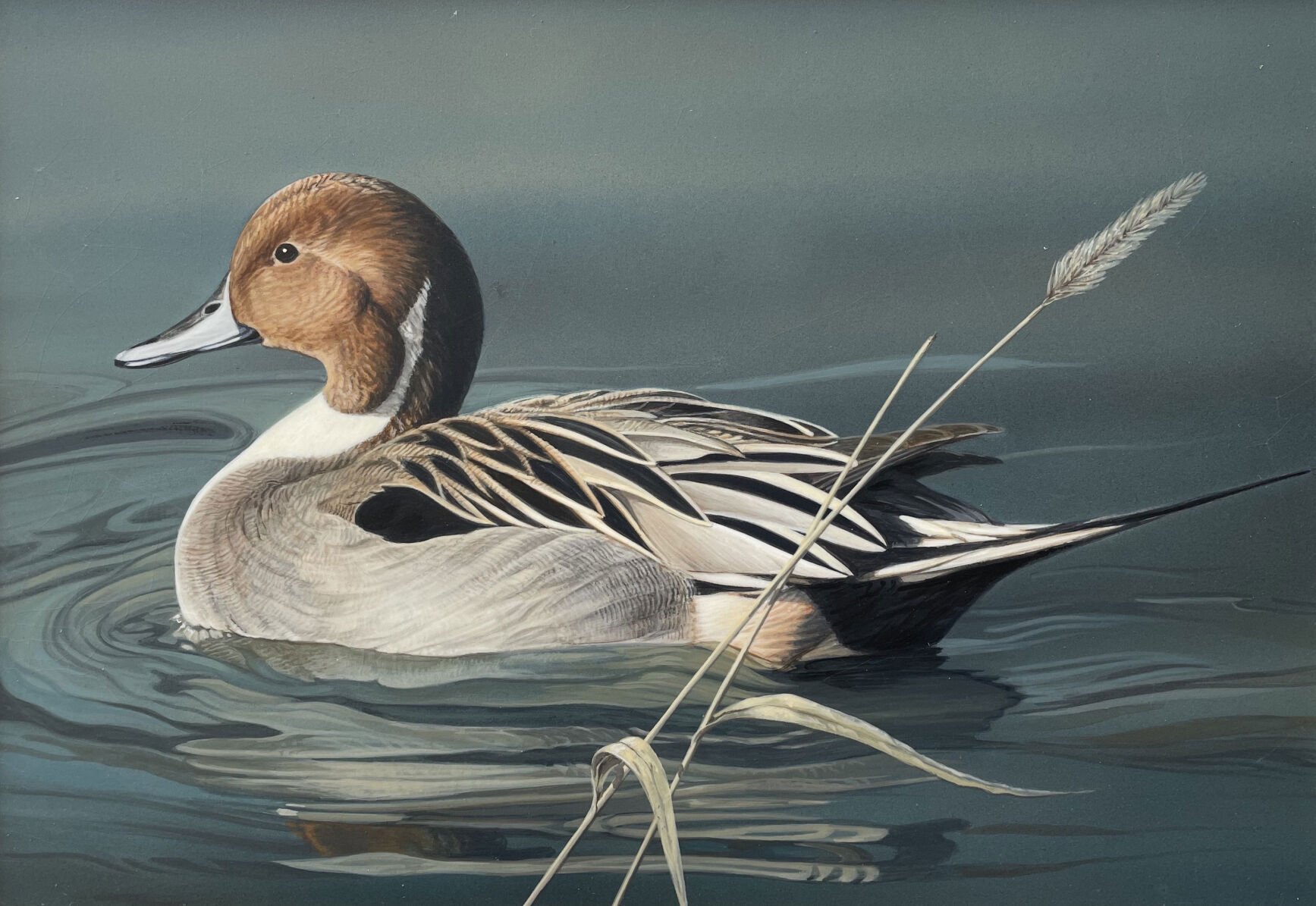 Belgrade artist wins Duck Stamp competition Local News