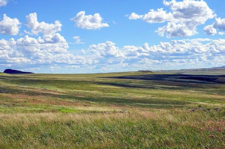 Grasslands partnership coordinator convicted of illegal sexual