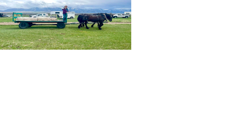 Moo-velous moments and sheepish shenanigans: A recap of Gallatin County's Farm Fair extravaganza - Vimarsana News
