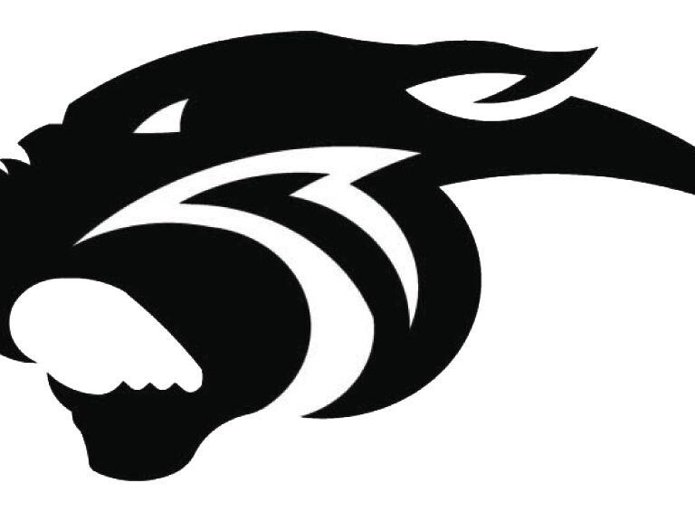 Panthers show improvement in league defeats | Local Sports | belgrade