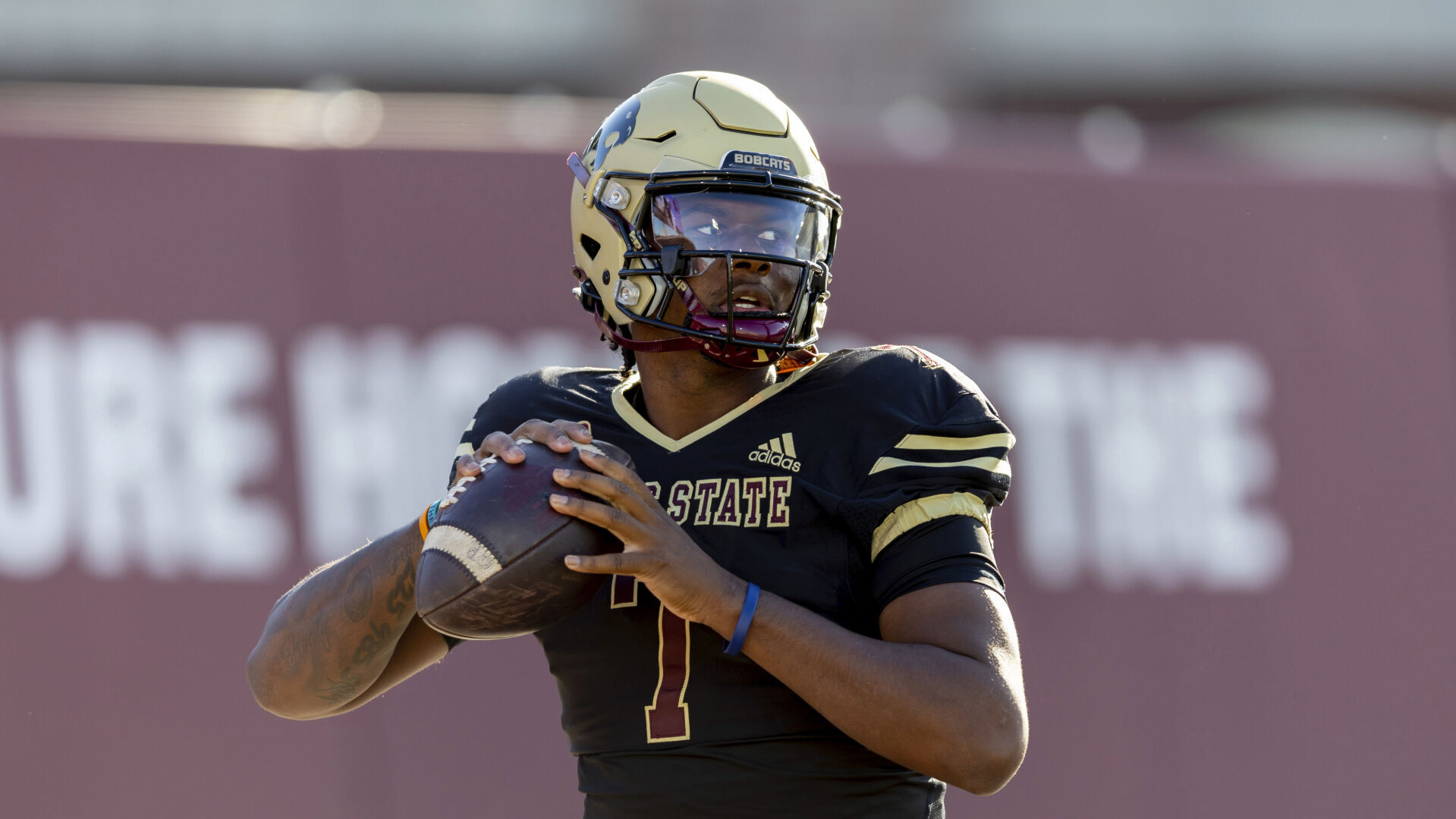 Texas state sales football helmet