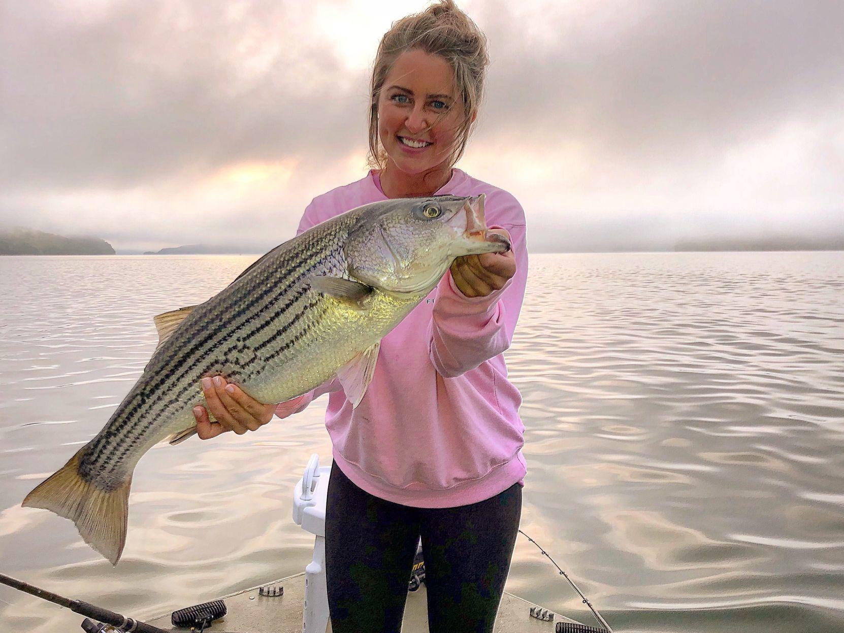 Lake Cumberland striped bass heating up Community Sports