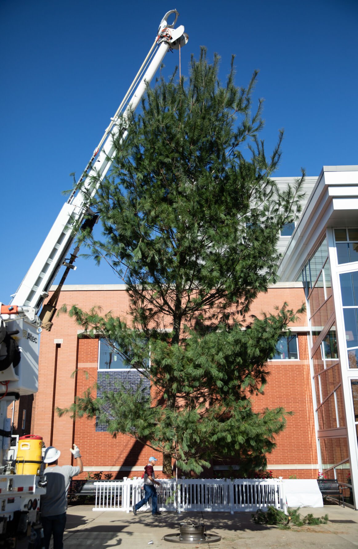 32-foot SKyPAC Community Christmas Tree Raised For Season’s Festivities ...