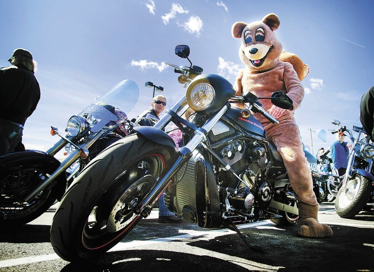 teddy bear biker