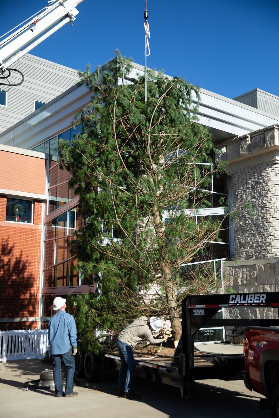 32-foot SKyPAC Community Christmas Tree Raised For Season’s Festivities ...