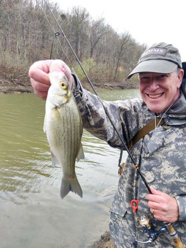 Fishing White Bass During the Spring Run, When & How These Fish Spawn