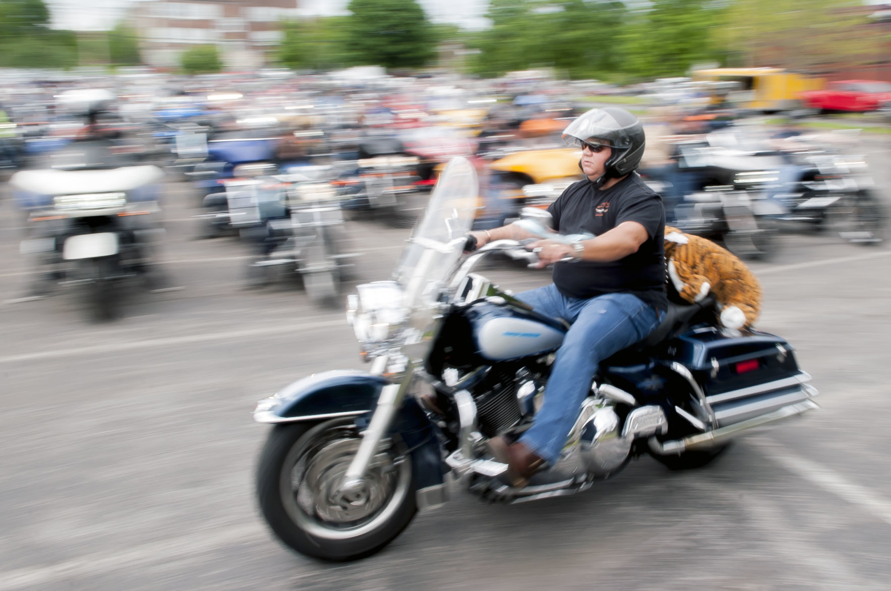 teddy bear on motorcycle