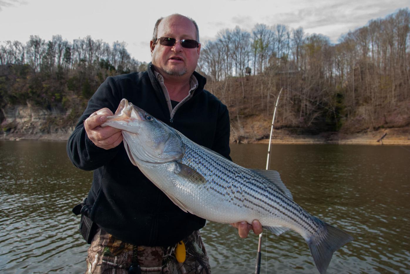 Cooler temps heat up fall bass fishing - Kentucky Department of