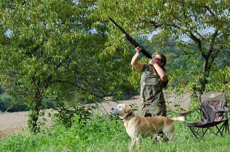 Habitat conditions excellent for dove season Community Sports