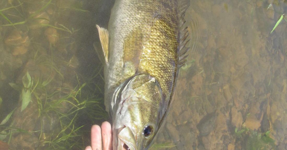 Kentucky Afield: Three good stream floats for smallmouth bass, Community  Sports