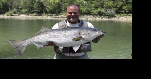 Bottom Lures - Sliding Sinker Rig  Vermont Fish & Wildlife Department
