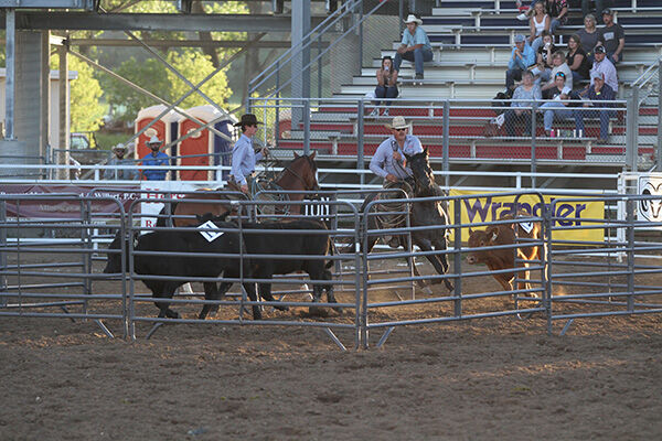 Ranch rodeo highlights BH Roundup’s 1st day | Local Sports | bhpioneer.com
