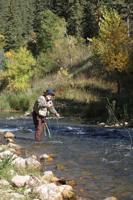 New study: Black Hills water supplies not meeting demand
