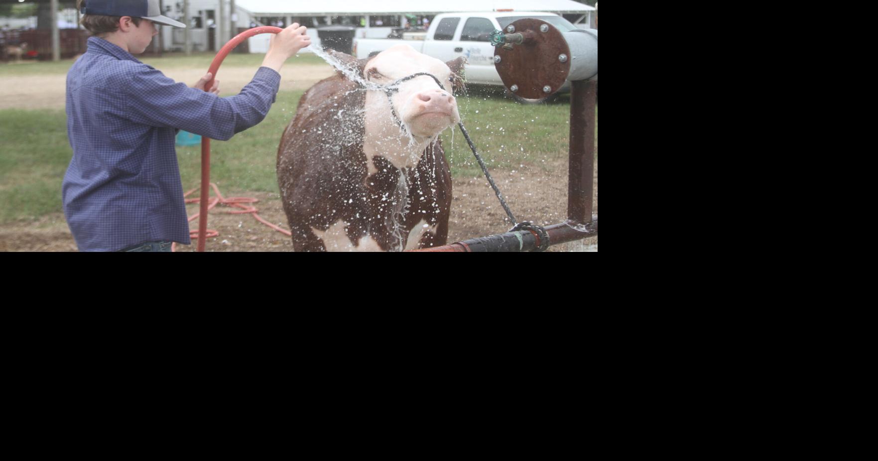 ButteLawrence County Fair in full swing Local News