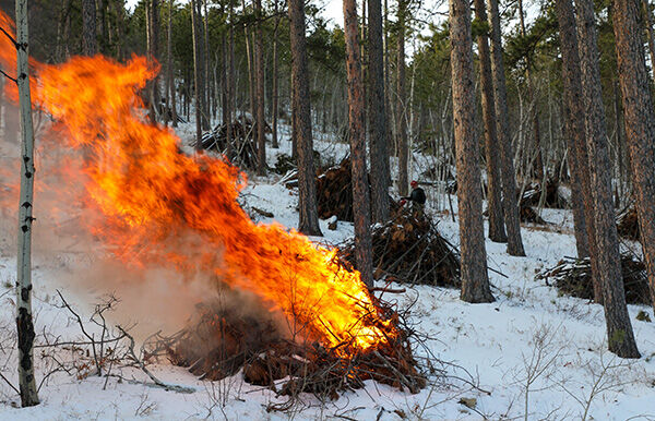 Forest Crews Begin Burning Slash Piles Local News