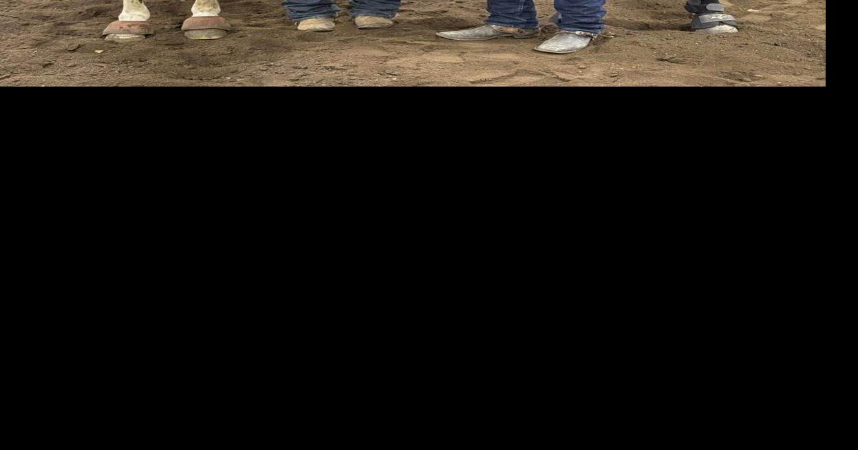 Badlands Circuit honors rodeo horses | Local Sports | bhpioneer.com