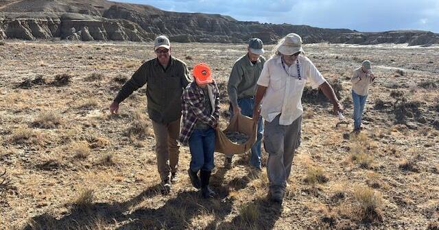 Hey Kids: Learn how an 11-year-old discovered an ancient turtle