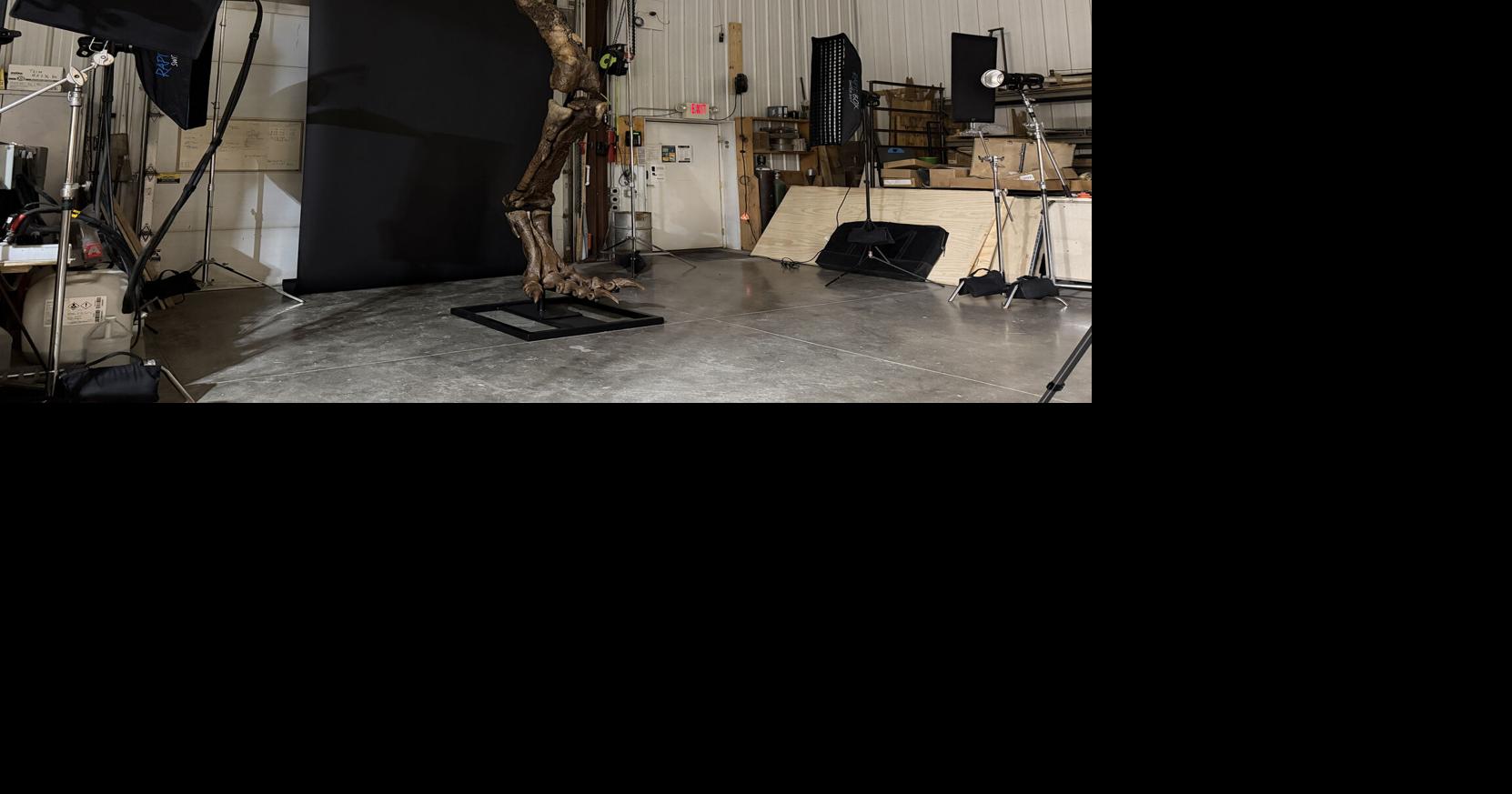 T. rex leg sold moments after ‘Gus’ brings $1.7 million to support SD natural history museum