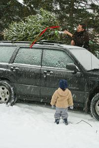 Finding The Perfect Christmas Tree Bhpioneer Com
