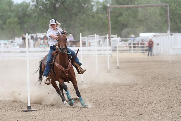 Butte/Lawrence County fairgrounds horse arena to be renovated  Local
