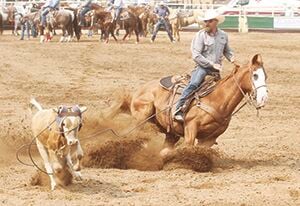 Colton Allen Roping Days of ’76 crowns steer roping champs | Local Sports | bhpioneer.com