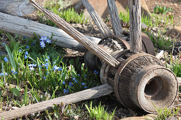 After Three Decades Of Growing In Belle Fourche Homestead Nursery After Three Decades Of Growing In Belle Fourche Homestead Nursery For