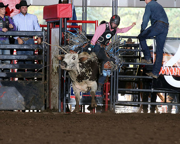 Badlands Circuit champions advance to nationals | Local Sports