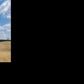Fish Fire explodes amid strong winds | Local News | bhpioneer.com