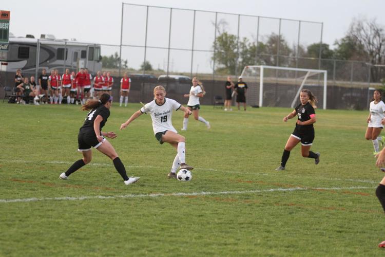 Black Hills State downs Sioux Falls in soccer opener | Local Sports ...