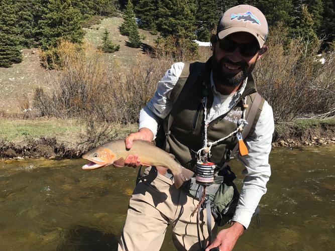 New species of trout to catch in Black Hills, Local News