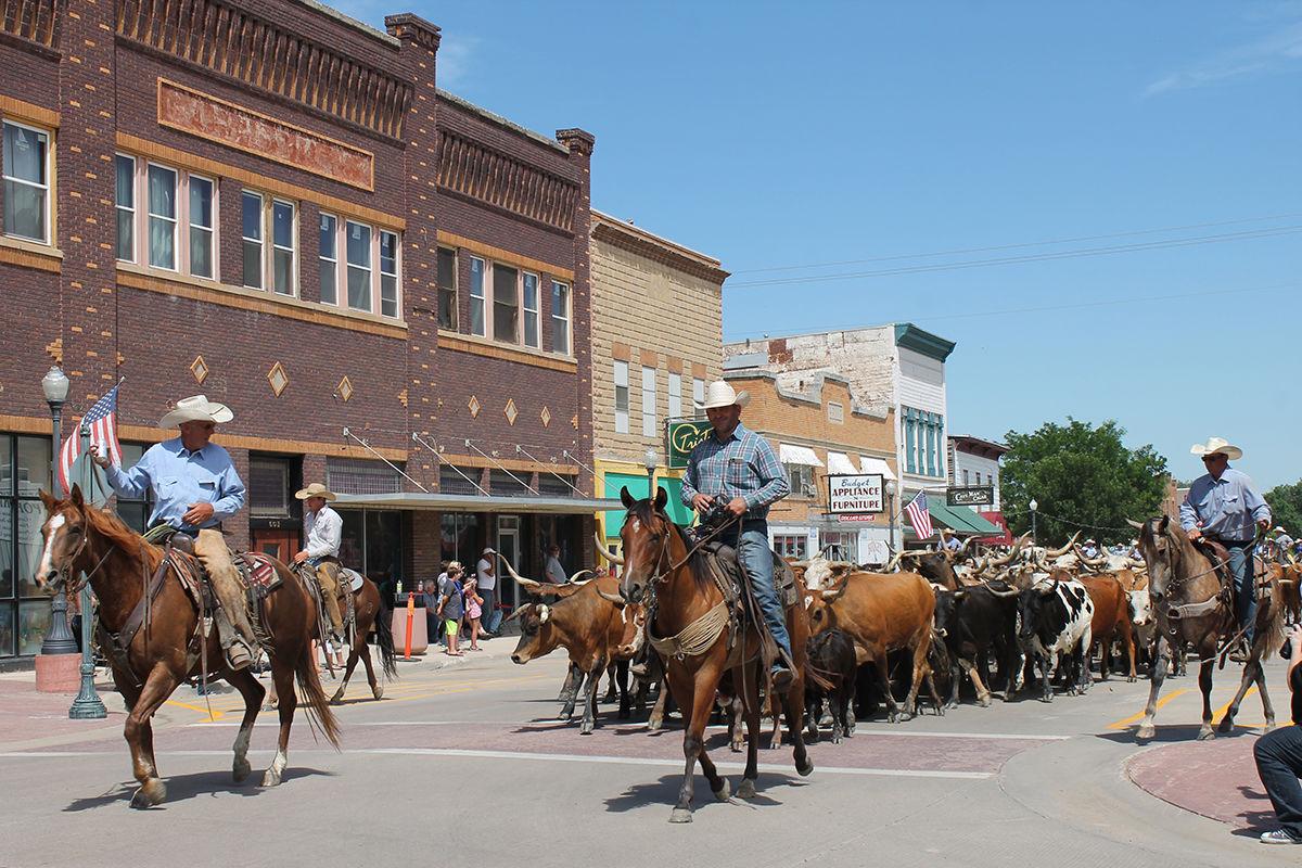 Cattle Drive Through Downtown Belle Fourche Kicks Off 100th Bh Roundup Local News Bhpioneer Com