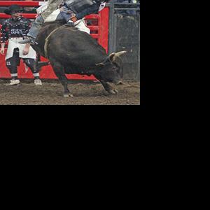 Teigan Gray captures Xtreme Bulls title