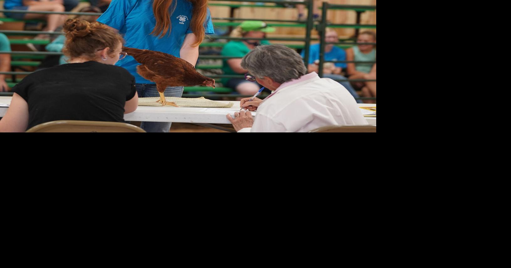 Read moreMeade Co. Fair and 4-H Achievement Days thrive despite triple-digit heat