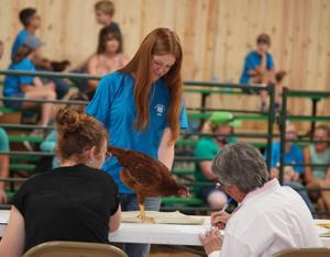 Meade Co. Fair and 4-H Achievement Days thrive despite triple-digit heat