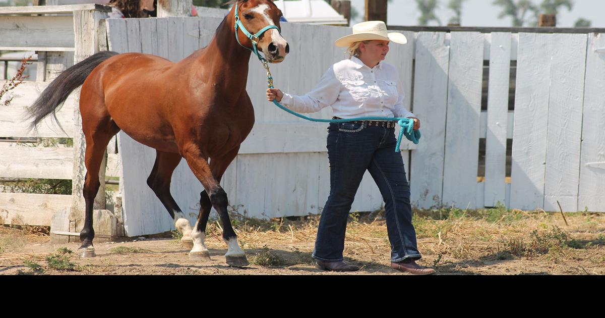 ButteLawrence County Fair underway Local News