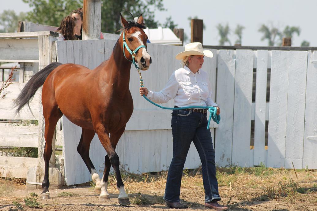 ButteLawrence County Fair underway  Local News  bhpioneer.com
