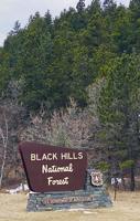 Lawrence Co. requests Forest Service respond to call for a second draft of assessments