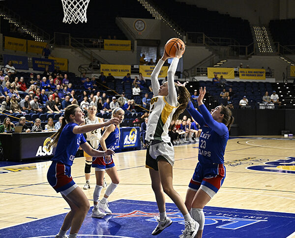 Yellow Jacket women 1.jpg
