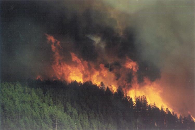 20 years later: Grizzly Gulch Fire