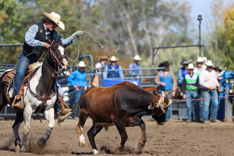 Spring Rodeo Calendar BHSU rodeo announces 2025 spring rodeo schedule | Local Sports ...
