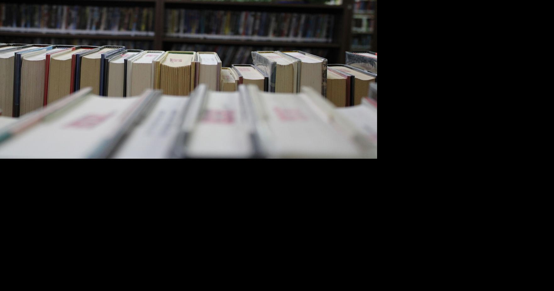 Senate judiciary committee to weigh bill on ‘harmful’ library materials ...