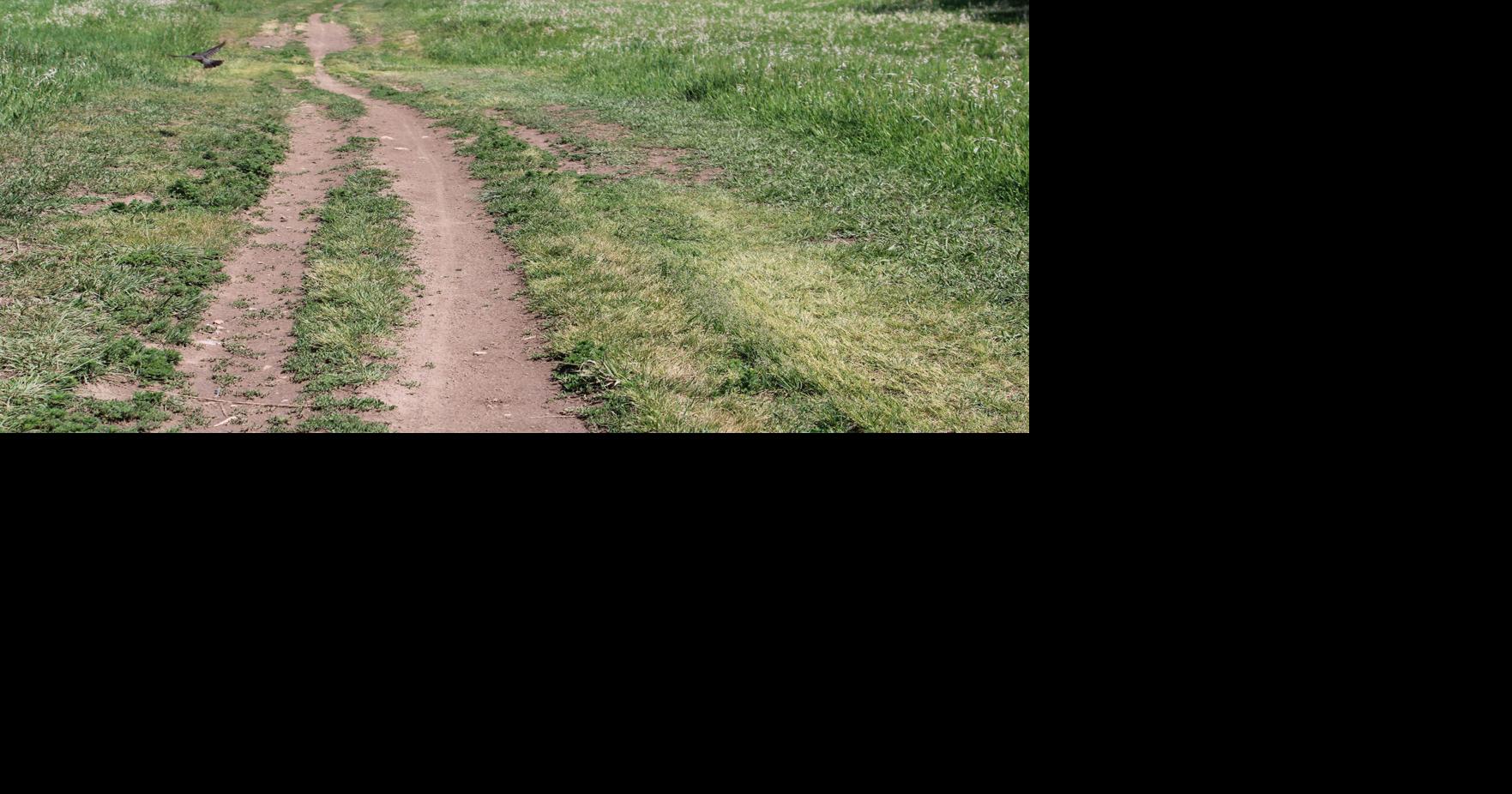 Creekside nature area trail donation tabled in the face of opposition
